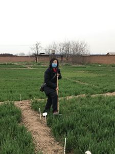 c7593c283faa4b6fbed76ac55fa1e050.jpg 张树兰4.jpg