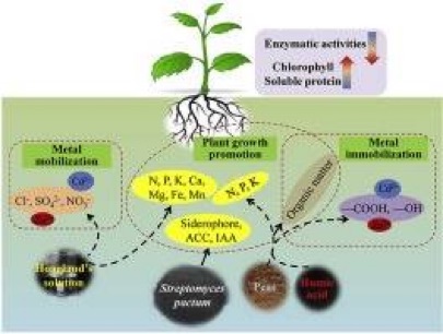 3d8349b735d94b8281d746963f4419cb.png 插图1.png