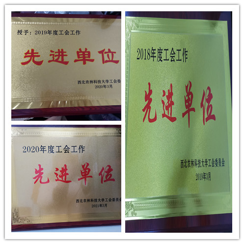 ef185441feca4e32874be9593497db51.jpg CF1BADE0D87E6A2AA41BA3C4BDF72174_副本.jpg