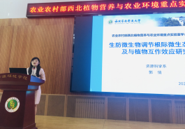 0da0574641144736b3793f6a47eedf98.png image.png