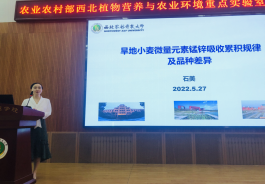 1bd88ee3477a4c94b442eb5bbf84fe18.png image.png