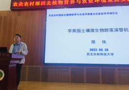 58c1fe5ab1eb4ad4b9e167bcef671536.png image.png