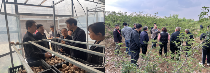 dcaf1b9a4fd347c0a1ff95866801b2fb.png image.png