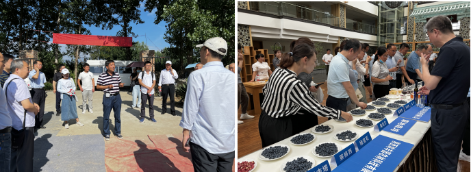 5fe0de4acaa34cb9826fb295dabe4654.png image.png