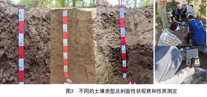 14d19054e14142a3b212a1a62e1e5b21.jpg 02.jpg