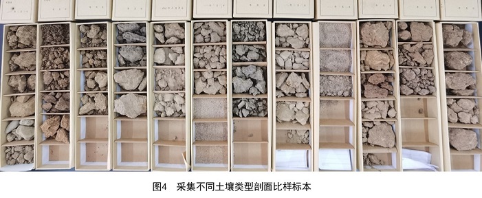 d7acaa2a84df4727adcc3090816d3451.jpg 03.jpg