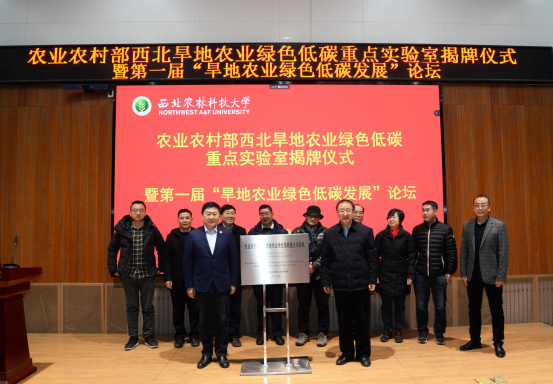 e831117ebbf74bbc915e268b26ab8008.png image.png